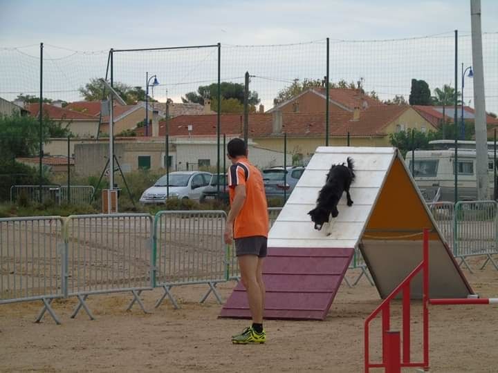 Juji gatamé des Crocs de Provence