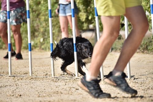 On des Crocs de Provence