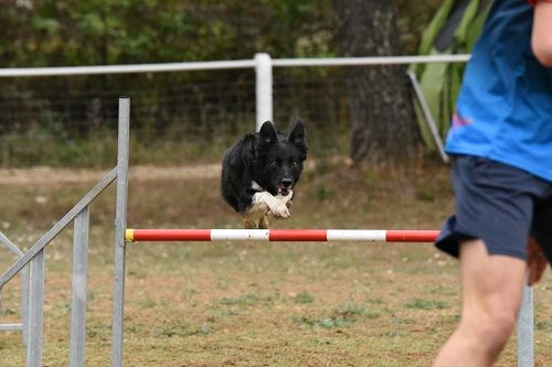 On des Crocs de Provence