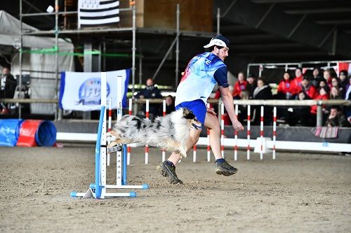 CH. Légolas esprit rebelle le bleu du grain de soleil