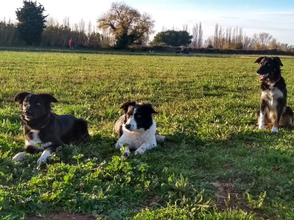 Ippon sorémadé des Crocs de Provence