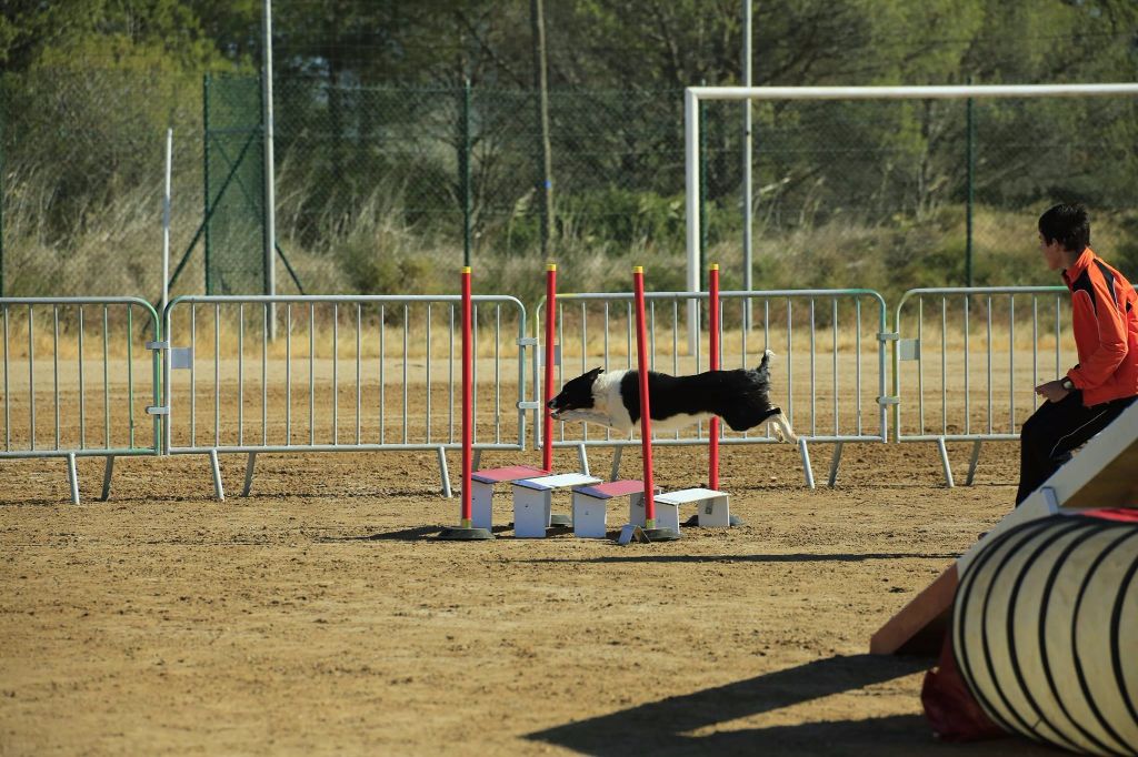 Indian légend dite zia des Crocs de Provence