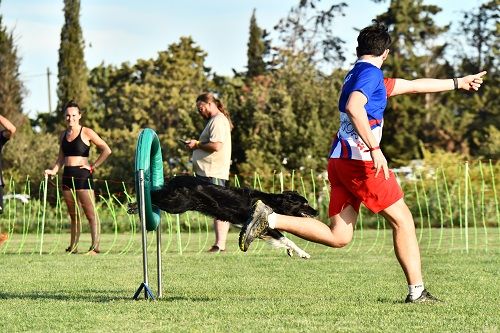 On des Crocs de Provence