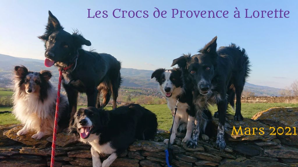 Run off the line des Crocs de Provence