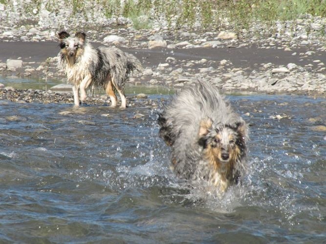 June bleu des Crocs de Provence