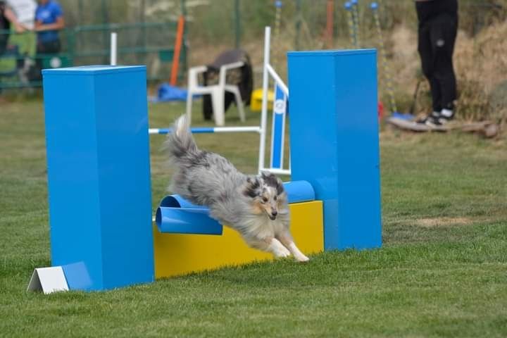 June bleu des Crocs de Provence