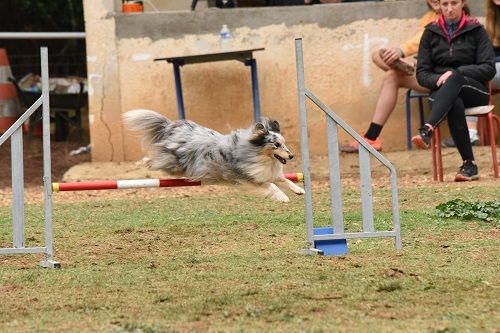 June bleu des Crocs de Provence