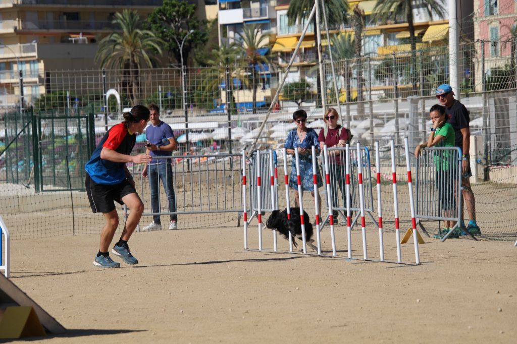 On des Crocs de Provence