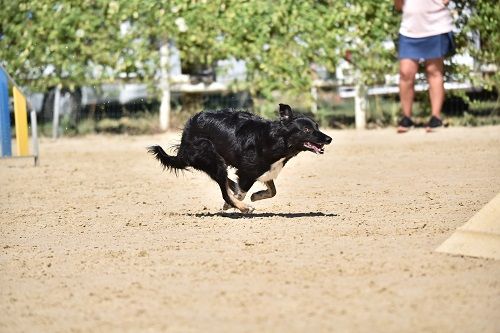 On des Crocs de Provence