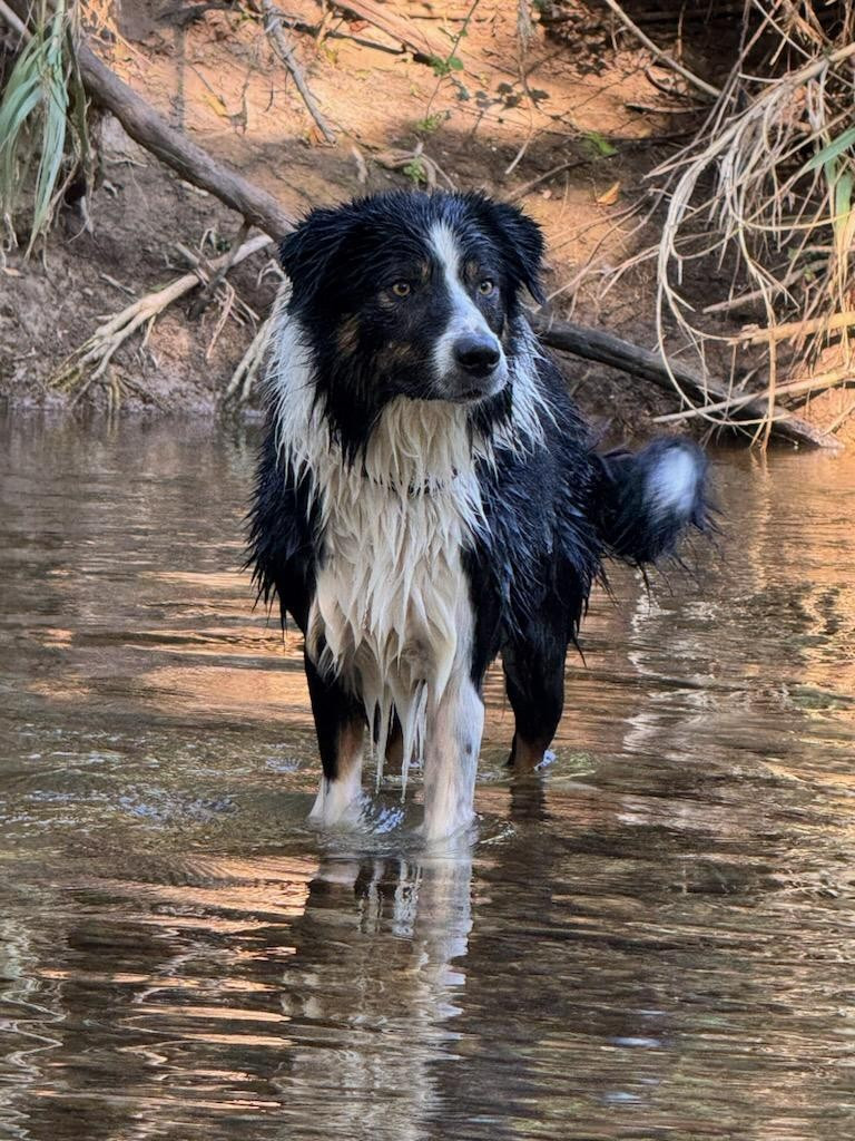 Unik legend des Crocs de Provence