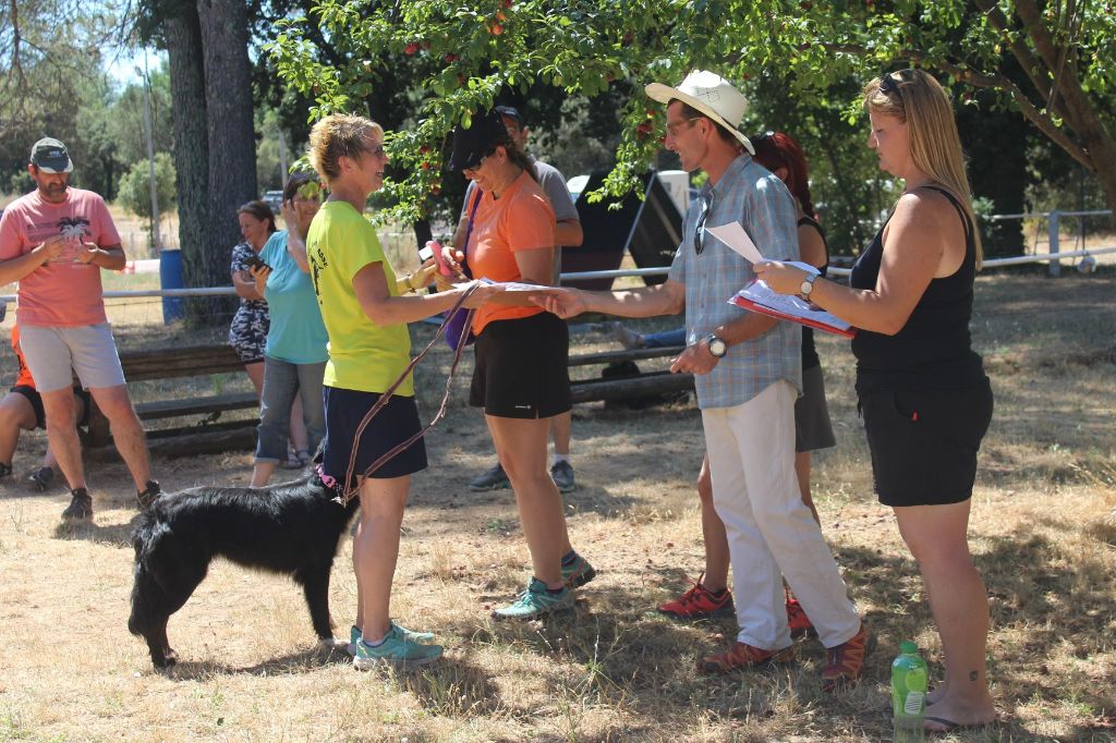 des Crocs de Provence - Passagility et C.A.E.S.C. réussis pour Jaws