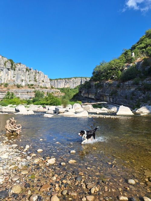des Crocs de Provence - Des nouvelles de Unik Legend