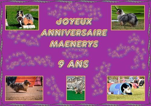 Joyeux Anniversaire