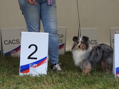 des Crocs de Provence - Championnat de France 2025