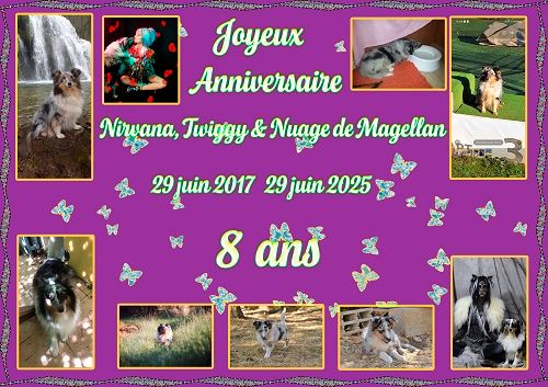 Joyeux Anniversaire
