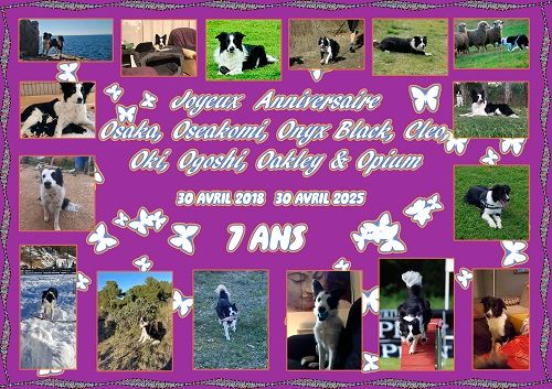 des Crocs de Provence - Joyeux Anniversaire