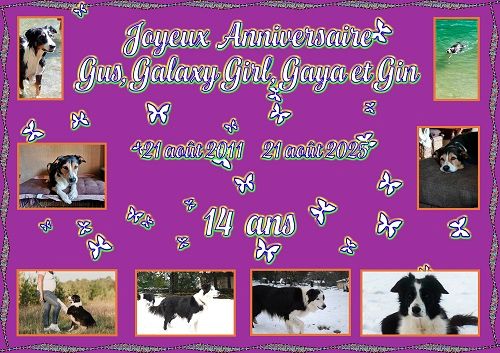 Joyeux Anniversaire