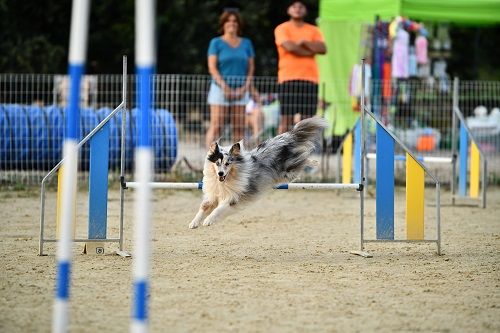 des Crocs de Provence - Rialp Jour 3