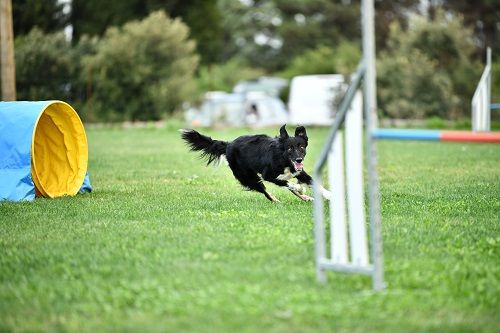 des Crocs de Provence - Rialp Jour 3