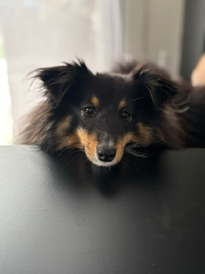 Des nouvelles de Vicky