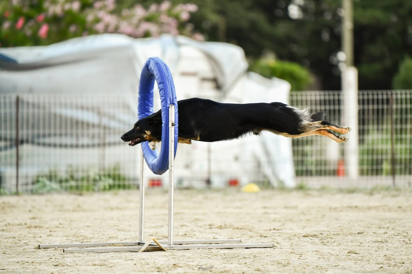 Des nouvelles de Sao