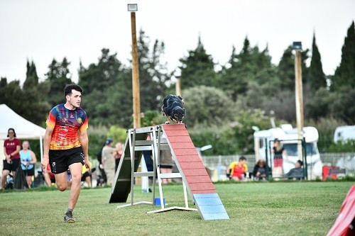 Concours d'agility d'Apt