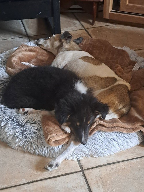 des Crocs de Provence - Des nouvelles d'Atsuki