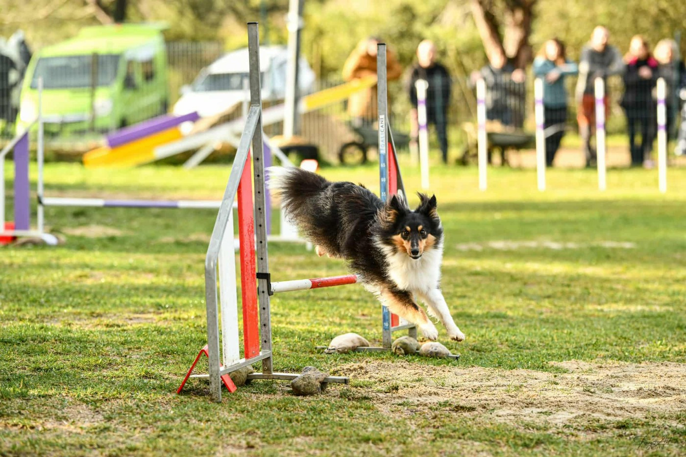 des Crocs de Provence - Des nouvelles de Trésor de Lancôme