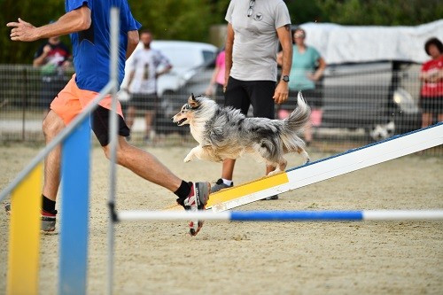 des Crocs de Provence - Nicolas et Légolas Vice Champions Régional 2025
