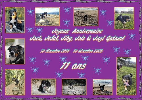 des Crocs de Provence - Joyeux Anniversaire