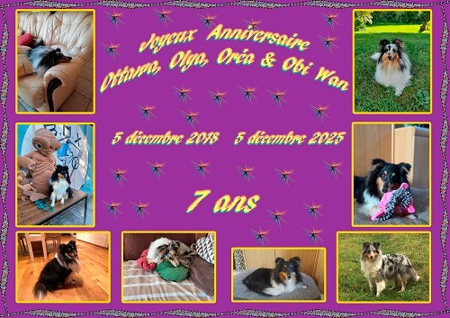 des Crocs de Provence - Joyeux Anniversaire