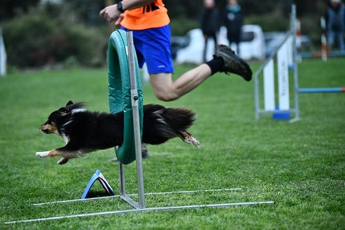 des Crocs de Provence - River et Esteban 3èmes au Championnat Territorial en Small 3