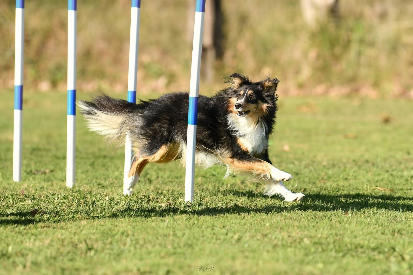 des Crocs de Provence - Des nouvelles de Uria