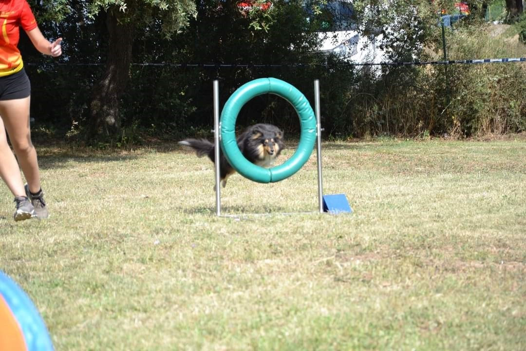 des Crocs de Provence - Faustine et Sansa 3èmes au Championnat Territorial 2025