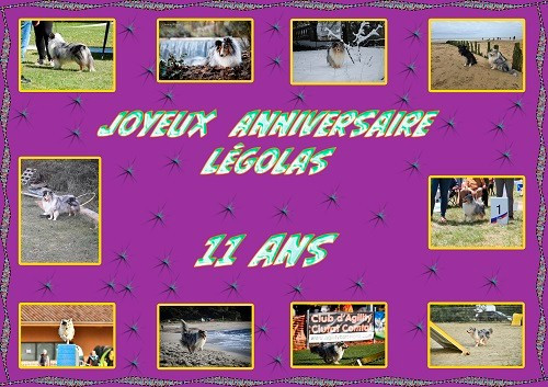 des Crocs de Provence - Joyeux Anniversaire Légolas