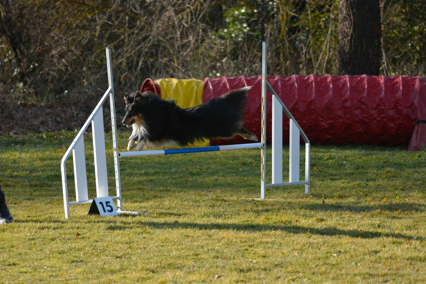 Joris et R Force One