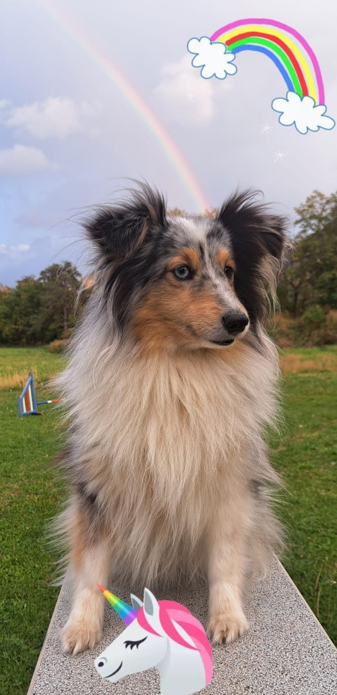 Des nouvelles d'Osanna