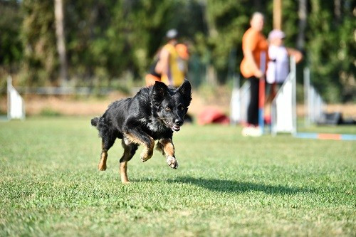 Rage Against The Machine