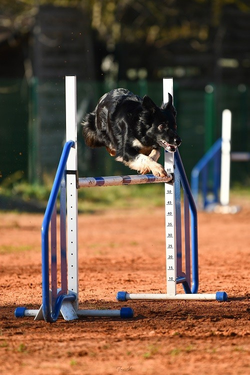 des Crocs de Provence - Sélectif WAO 2025