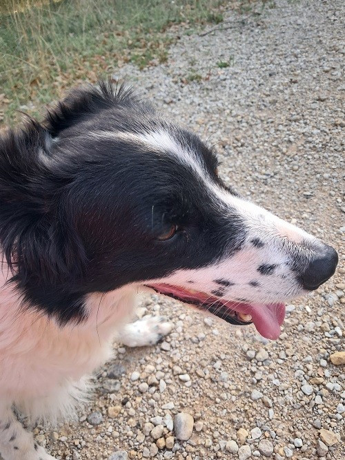 des Crocs de Provence - Ippon Sorémadé des Crocs de Provence