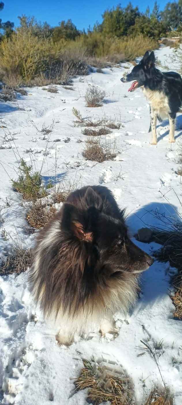 des Crocs de Provence - Des nouvelles d'Idylle