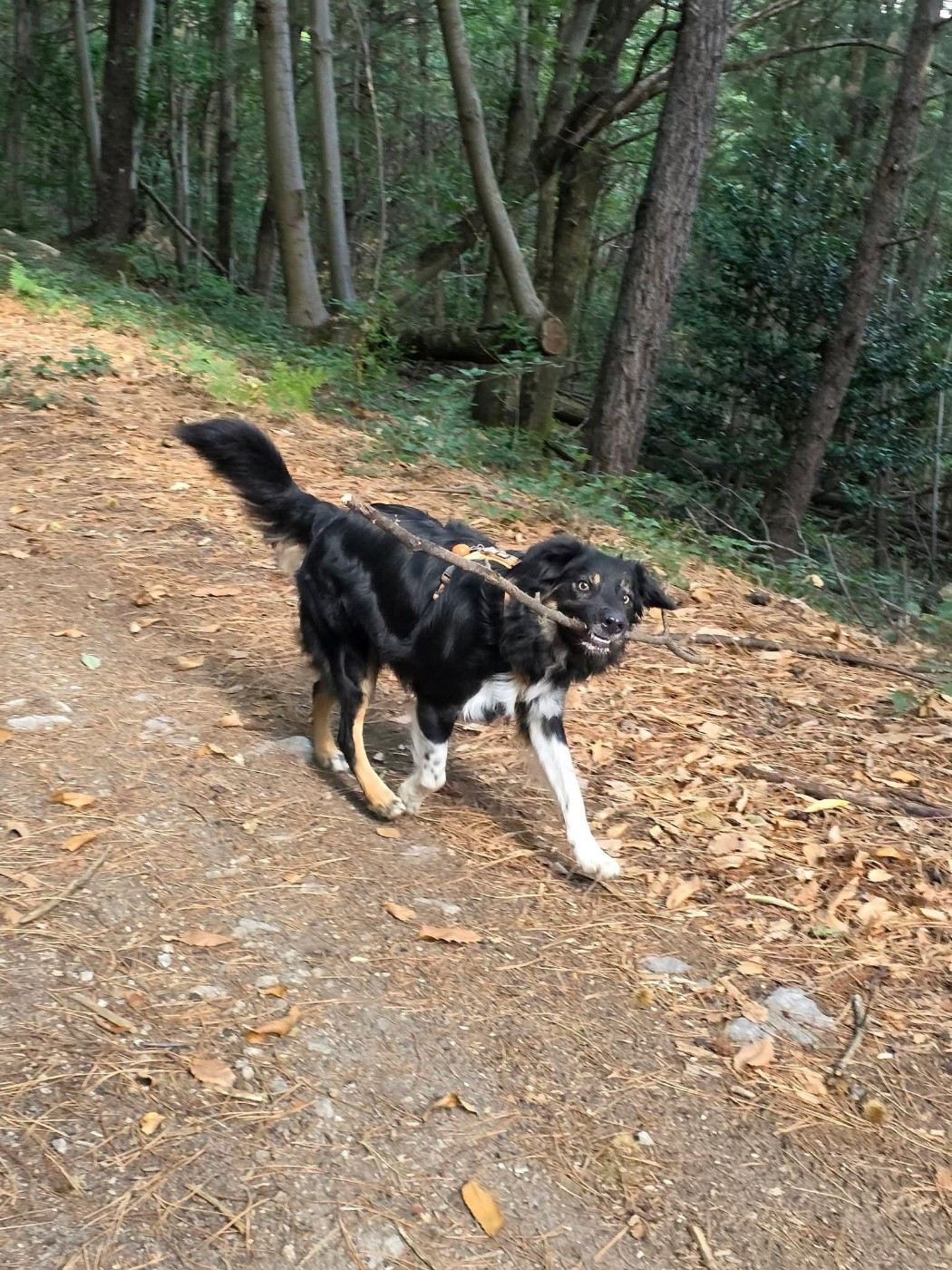 des Crocs de Provence - Des nouvelles de U2 The Legend