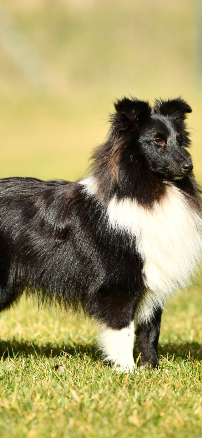 des Crocs de Provence - Spéciale de Cavalaire