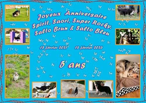 des Crocs de Provence - Joyeux Anniversaire