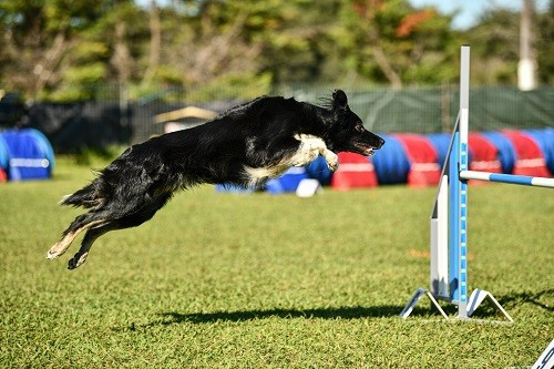 des Crocs de Provence - On des Crocs de Provence
