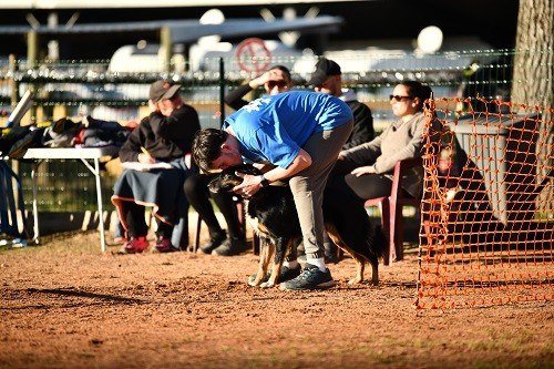 des Crocs de Provence - Concours d'agility des Cadeou