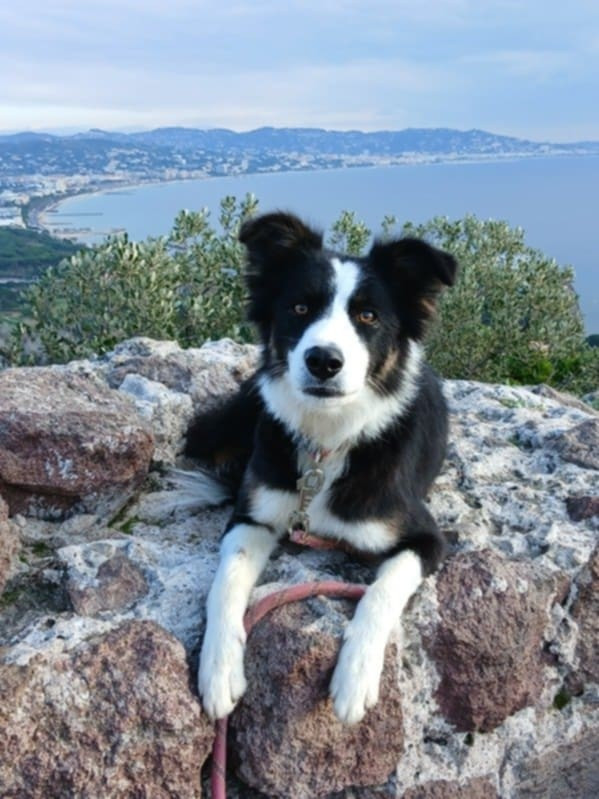 des Crocs de Provence - Vaé des Crocs de Provence