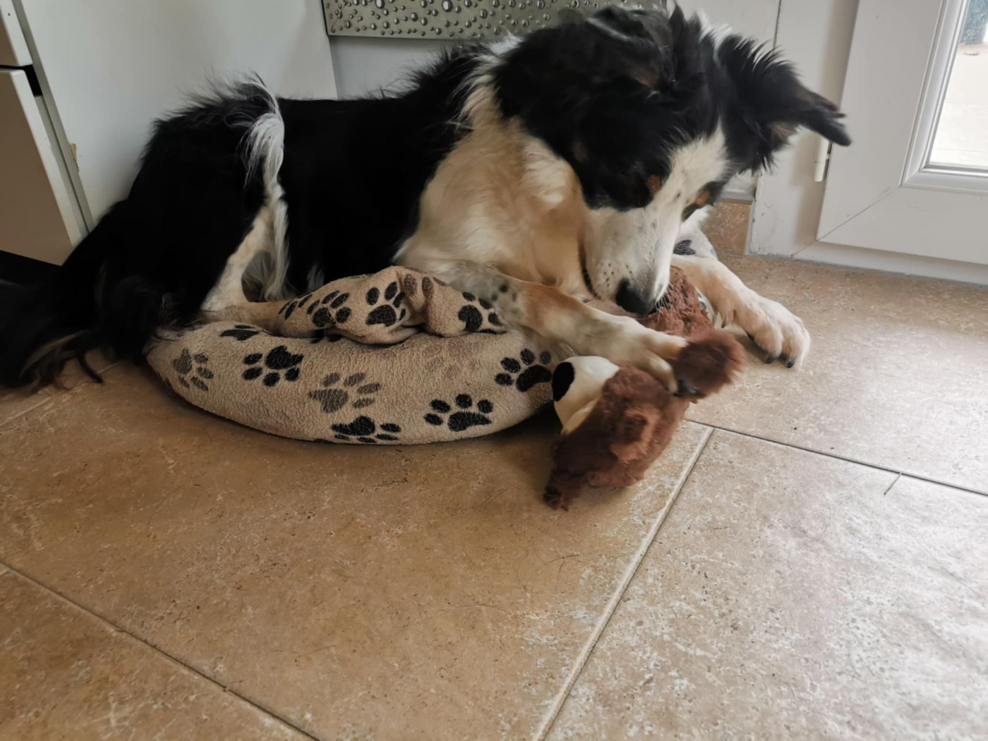 des Crocs de Provence - Iliade des Crocs de Provence