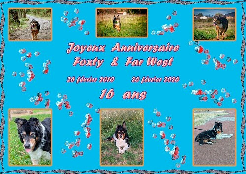 des Crocs de Provence - Joyeux Anniversaire