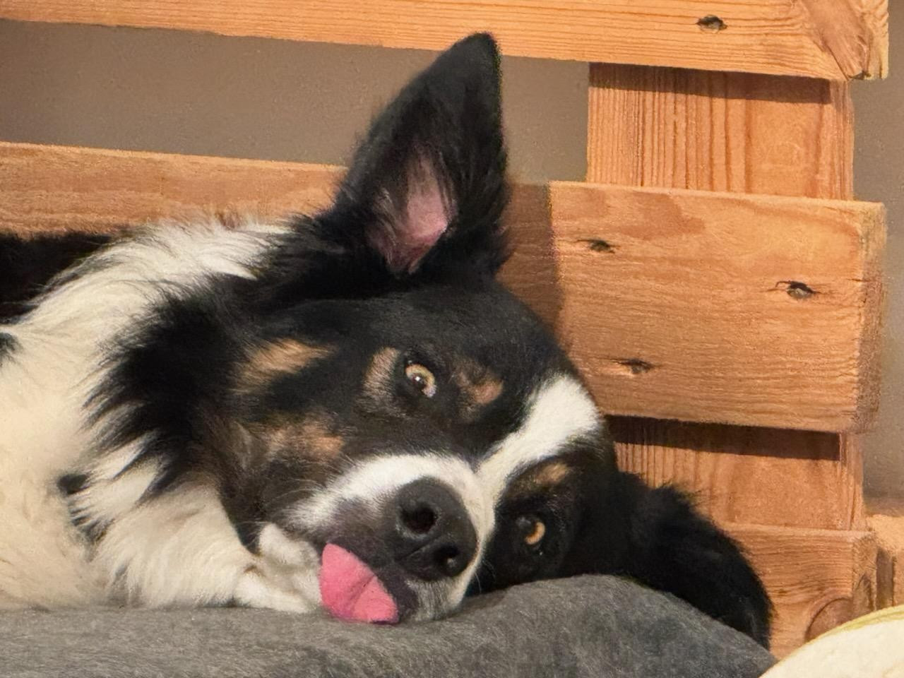 des Crocs de Provence - Des nouvelles de Unik Legend des Crocs de Provence